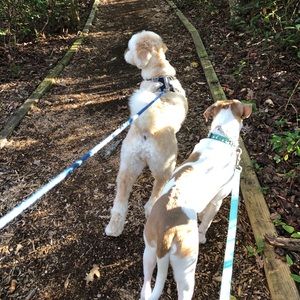 Meet your Posher, Rob